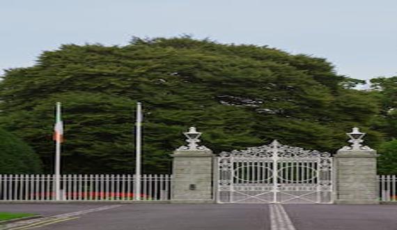 Iron Gates: Durable And Stylish Home Security Solutions