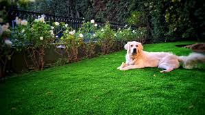 Dog-Friendly Artificial Grass Installation Guide: Tips For Your Pet’S Perfect Playtime