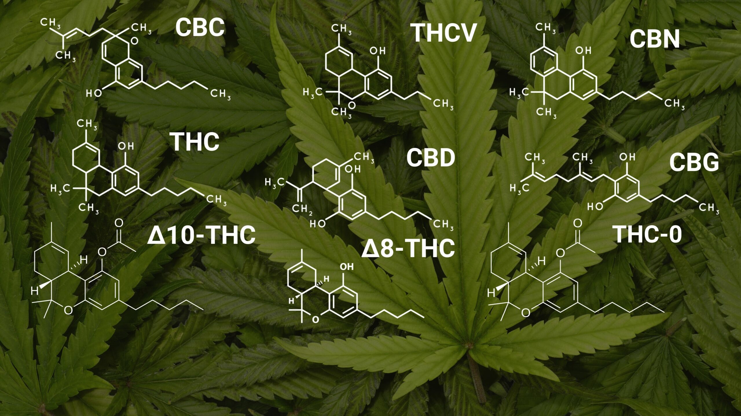 Discover The Best Weed Pens For Easy And Convenient Vaping!